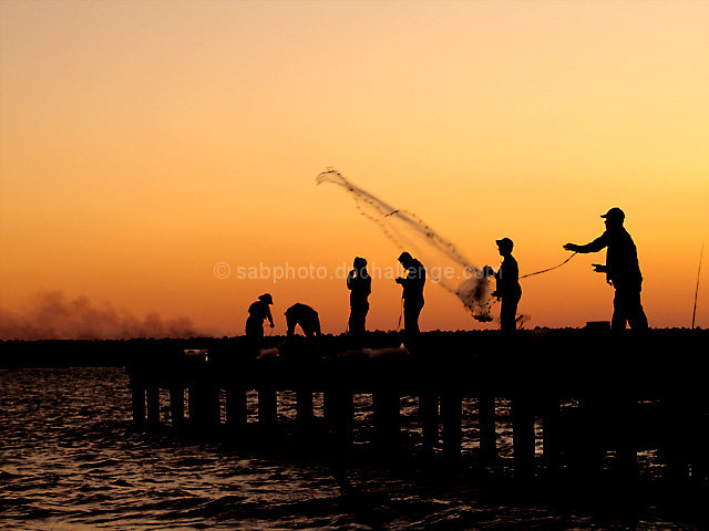 Shrimping at Sunset