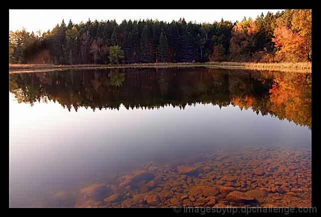 Autumn Reflections