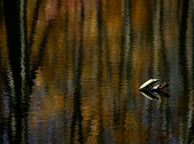 painted river