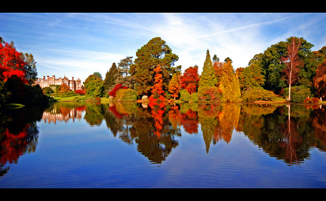 Autumn Glow