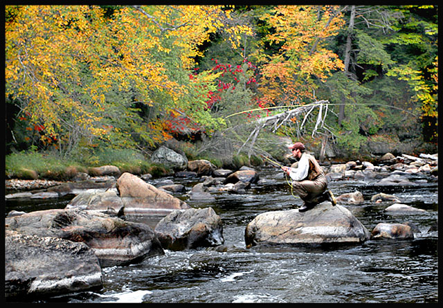 Fly Fishing in Fall