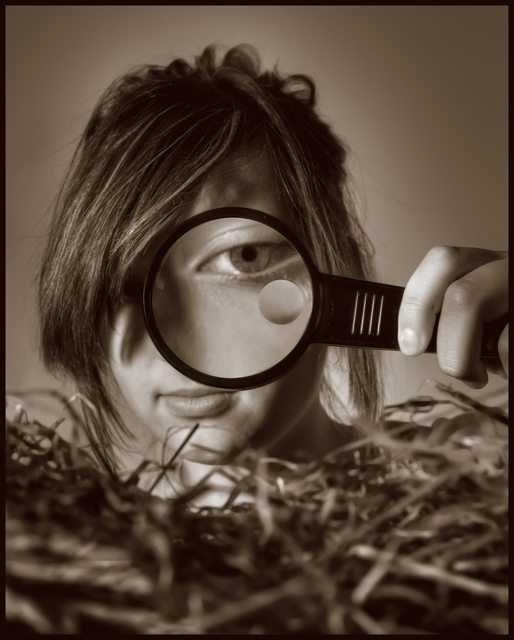 Searching for a Needle in a Stack of Hay