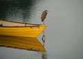 I'm the king of the world! 