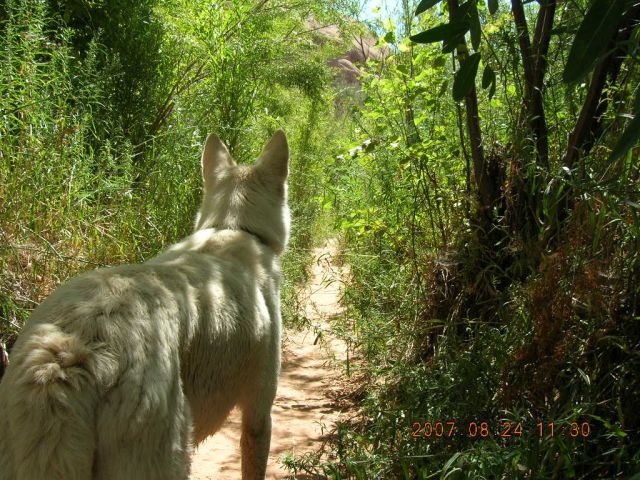 The Path Ahead