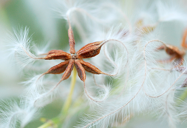 As light as a feather