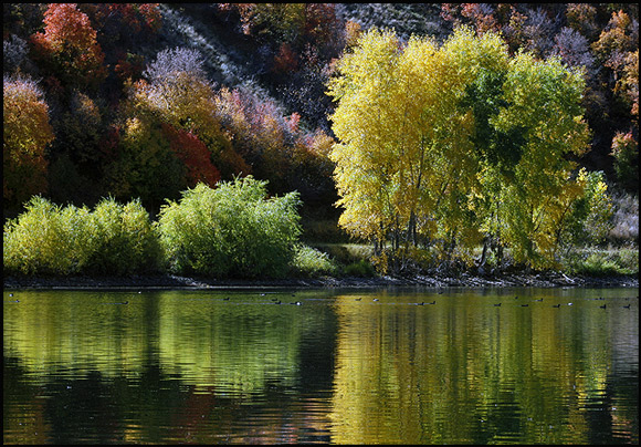 Juste une autre image d'automne