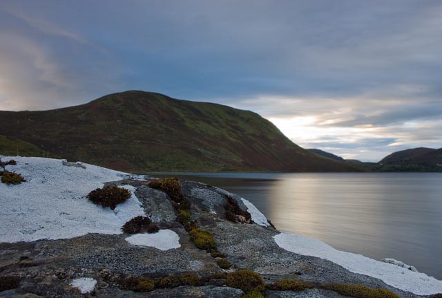 Moss on Lough Talt