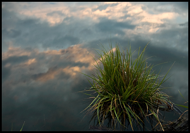 Grass and Clouds