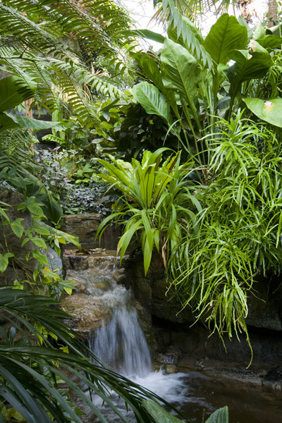 Tropical Waterfall