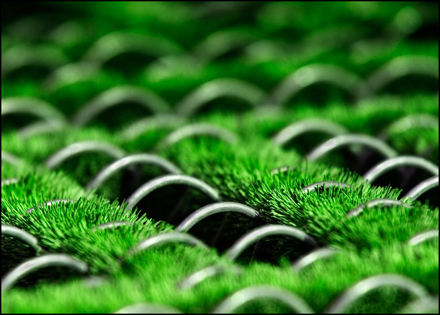 Rings in green