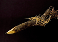 Twig