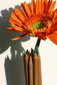 colorful vase