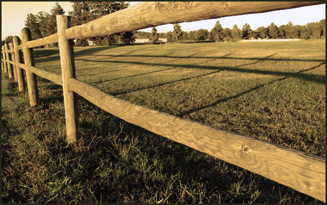 Lines in Shadow