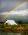 An Illusory Hope