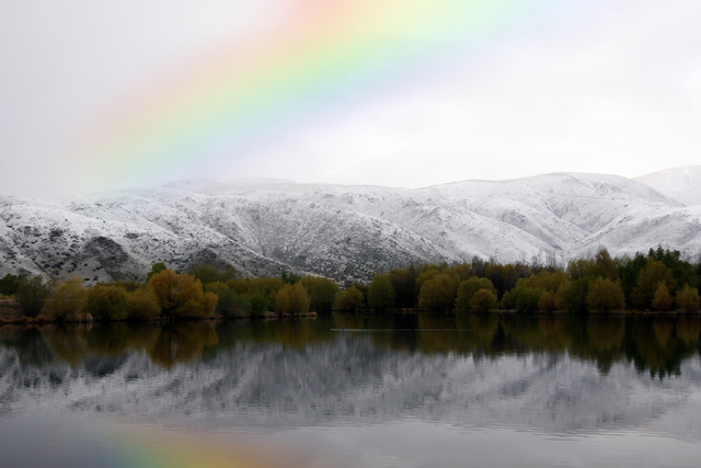 Lucky Rainbow on Frosty Day