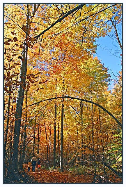 ~A Hike through an Autumn Rainbow~