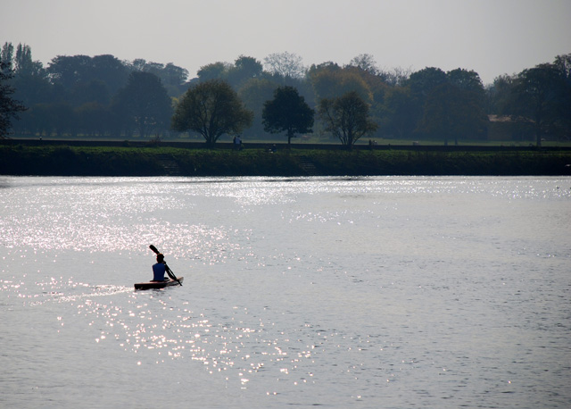 Rower on the Thames