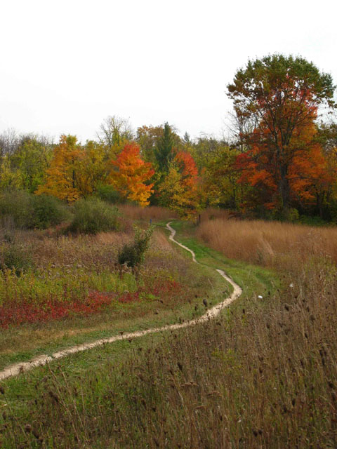 The long and winding path