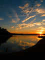 Honk if You Like Sunsets
