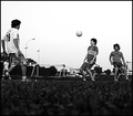 soccer from the ground