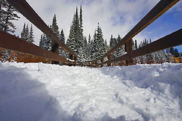 Time to Shovel