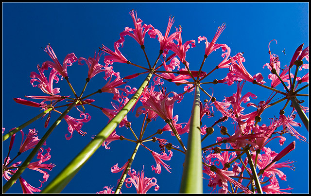 Reaching for the Sky