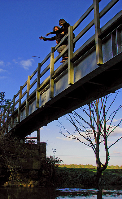 Pooh Sticks