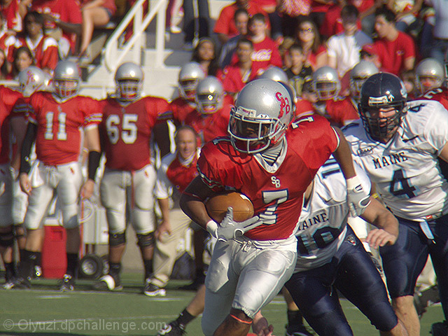 WR Dwayne Eley of Stony Brook eludes would-be tacklers for a big gain of third quarter punt return.