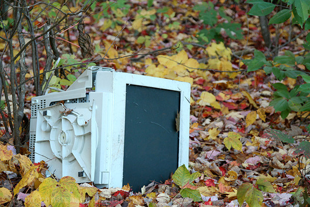 Ancient Computing Device Discovered in State Park