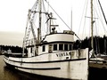 The Vivian