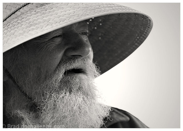 The Old Man & the Sea