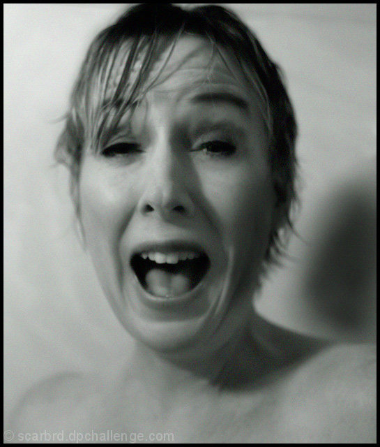 Shower Scene from Psycho