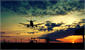 Landing at Sunset
