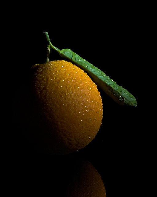 Orange Crescent