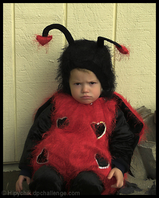 The Grumpy Bug