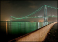 Color of Night