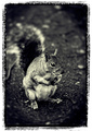 Pinhole style