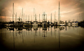 Port Gardner