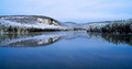 Bow Lake Winter Beauty