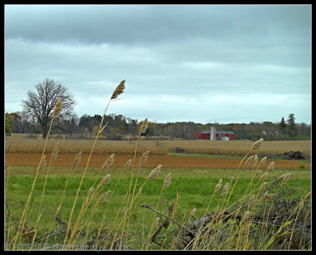 Across the Field