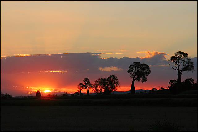 Saluting the Sun