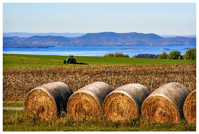 Lake Champlain Farm