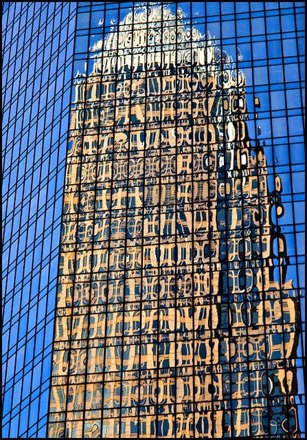 Charlotte Reflections