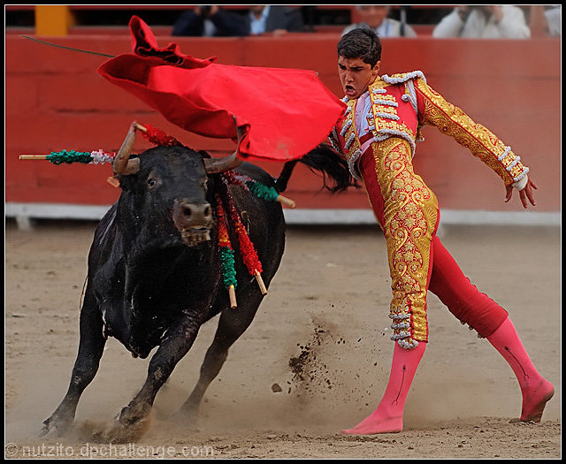 Matador