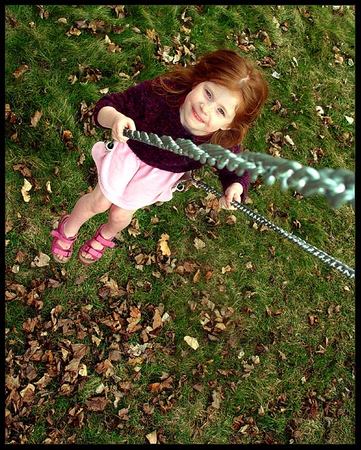Lottie