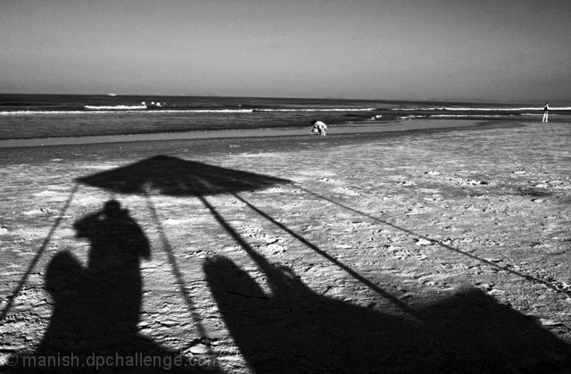 Morning Shadows