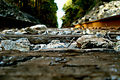 Railroad Tie: Up Close and Personal