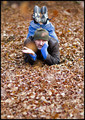 Bed of Leaves