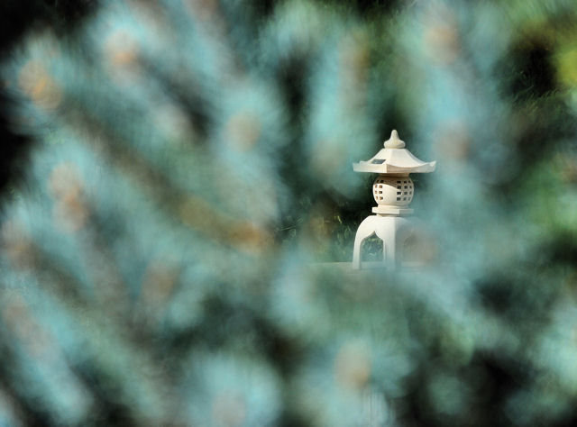 Pagoda Infusion 