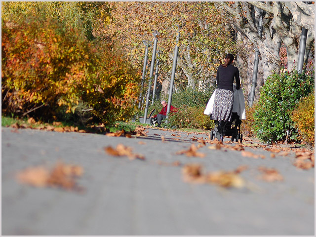 Autumn Walk